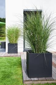 Pflanzkubel Anthrazit Fiberglas Auf Der Holzterrasse Fur Ein Frisches Ambiente Die Graser Im Blumenkubel Unters Pflanzkubel Anthrazit Pflanzkubel Bepflanzung