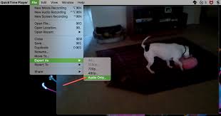 We did not find results for: How To Extract Audio From Video On Iphone Ipad And Mac
