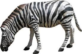 Maybe you would like to learn more about one of these? Zebra Animal Statues Fiberglass Live Size Sky Art Zone Id 21182631962