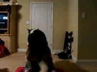 It comes in ten colors to match minwax® wood finish™ stains and it does not harden. A Transsexual Screwed By A Dog In A Garden Zoophilia Porn Zoophilia Porn With Dog At Madnessporn