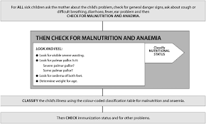 Handbook Imci Integrated Management Of Childhood Illness