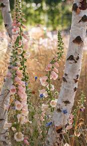 Rhs Young Designer Of The Year 2016 Thrift Landscapes Garden Shrubs Beautiful Flowers Cottage Garden