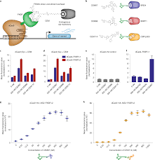 Dose Dependent Activation Of Gene Expression Is Achieved