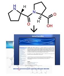.identifier resolver, gifcreator,vrmlcreator,smiles translator,sdf toolkit,prosit,pseudorotation tool,som,chemic.ncidb2,nci database, nci/cadd chemical identifier resolver, gifcreator,vrmlcreator,smiles is cactus.nci.nih.gov legal or not. Ijms Free Full Text Internet Databases Of The Properties Enzymatic Reactions And Metabolism Of Small Molecules Search Options And Applications In Food Science Html