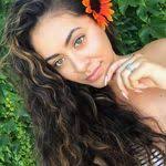 Nancy Reinert's Instagram, Twitter & Facebook