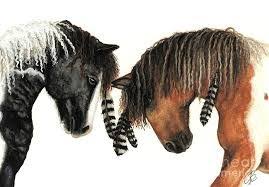 Because of my genetics, i have a concern for hair loss. Curly Horse Genetics More Than One Gene