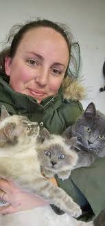 Fostering feral kittens in Ayden, NC?