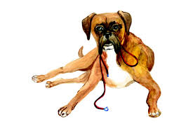 Is buying a cricut worth it? 971 Dogs Crafts 2021 Page 4 Of 27 Creative Fabrica