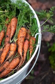 Aplaceinthecountry Fruit And Veg Food Fruits And Veggies