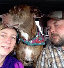 This Couple Quit Their Jobs To Live In Teardrop Trailer And Make Art