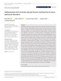 D boyd, dawn m macdonald, dawn m noll. Pdf Inflammation Driven Brain And Gut Barrier Dysfunction In Stress And Mood Disorders