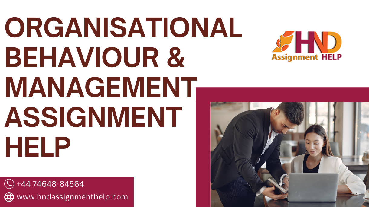 Organisational Behaviour & Management Assignment help product image