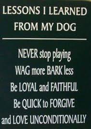 And Turn Around 3 Times Before You Lie Down Dog Quotes I Love Dogs Sayings