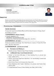 Image Result For Cv Format For Hse Officers Cv Format Sample Resume Resume