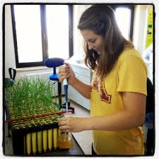 These reflection paper example basic and obviously they will be able to perform research on your behalf. Agriculture Reflection Global Food For Thought
