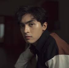 Cong Duong: Vietnamese-Thai American male, rumored to have fake love with  Quynh Kool, "forced to kiss" by Hai Tu