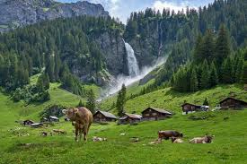 ☝ turn on your post notifications! Swiss Voters Prepare For Landmark Pesticide Poll New Food Magazine