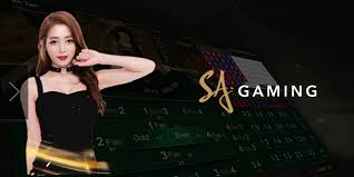 Image result for sacasino