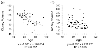 Diagnostics Free Full Text Correlation Of Kidney Size On Computed Tomography With Gfr Creatinine And Hba1c For An Accurate Diagnosis Of Patients With Diabetes And Or Chronic Kidney Disease Html