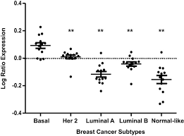Changes or abnormalities in bones can be detected with bone scans. Analysis Of High Fat Diet Induced Genes During Mammary Gland Development Identifying Role Players In Poor Prognosis Of Breast Cancer Springerlink