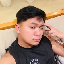 Slater Young, an influencer and engineer, confirmed collaborating with Cebu  City Mayor Nestor Archival