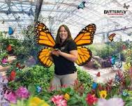 BENA Chapter Meeting: Butterfly Biology and Ecology