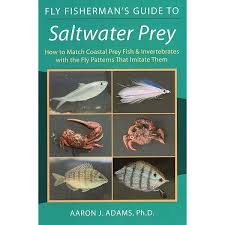 Mayflies, the Angler, and the Trout: Arbona, Fred L., Jr.: 9780832929946:  Amazon.com: Books