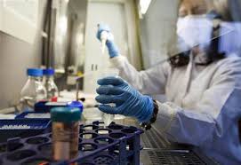Central queensland, townsville, mackay, cairns, torres strait, cape york, mount isa, orta batı ve güney batı bölgeleri. Queensland Health Bins 64m Pathology System Overhaul Strategy Software Itnews