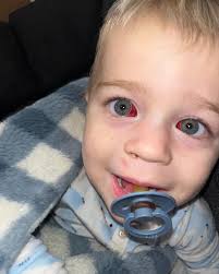 The most perfect day for the most perfect couple! I can't even put into  words how happy I am for Whit and Jaese, I was a ball of emotions all  night. If