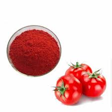 Dehydrated Tomato Extract Powder at ₹ 870/kg in Datia | ID: 2854955451288
