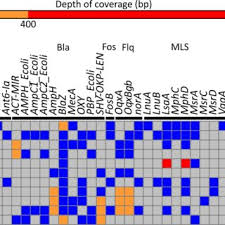 Antibiotic Resistance Genes Detected Heatmap Showing