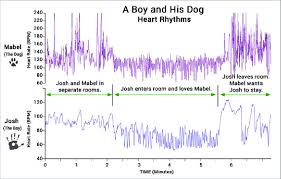 Heartbeat dog toy simulates an environment that the puppy are. 11 Heart Rhythm Patterns Of A Boy And His Dog These Data Were Download Scientific Diagram