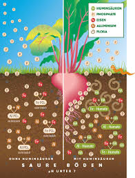 Our objective is to cultivate pure organic. What Are Humic Acids Humintech