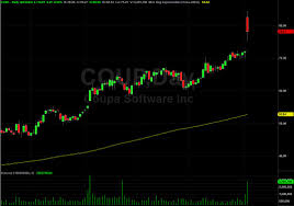 Coupa Software Coup Stock Shares Soar On Upbeat