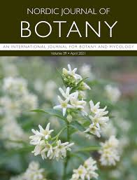 Image result for Commicarpus pedunculosus