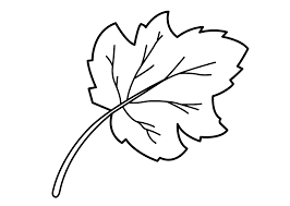 Freerintable leaf coloringages get leaves tgyhc3uicture inspirations. Leaf Coloring Pages For Preschool Activity Shelter
