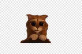 Cizmeli Kedi Kedi Kedicik Softpaws Yavru Kedi Cizmeli Kedi Kedi Memeli Gibi Etobur Png Pngegg