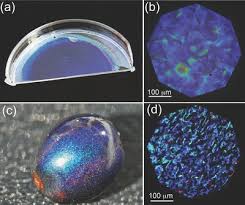 Image result for Pollia condensata