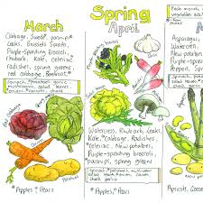 Seasonal Uk Fruit And Vegetable Chart Liz Cook Charts In