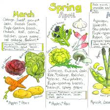 seasonal uk fruit and vegetable chart liz cook charts in