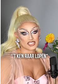 Lucille Werner Vleespastei