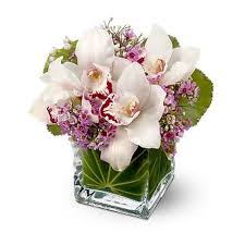 Lovely Orchids Florist Flower Shop Calgary Flower Delivery Calgary Flowers Downtown Florist