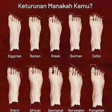 Caranya, penekanan titik syaraf telapak kaki dilakukan dengan menggunakan perut ibu jari, sementara keempat jari lainnya membentuk posisi 60 derajat. Jari Kaki Bisa Mendeteksi Garis Keturunan Juga Kondisi Kesehatan Seseorang Semua Halaman Grid Health