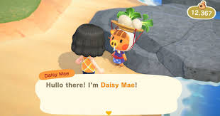 Where To Buy Turnips In Animal Crossing: New Horizons