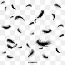 Float Black Feather Effect Black Clipart Feather Clipart Wings Feathers Falling Feather Graphic Feather Background Graphic Design Background Templates