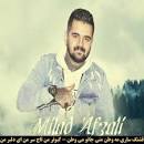 نتیجه تصویری برای دانلود اهنگ میلاد افضلی کبوتر من تاج سر من