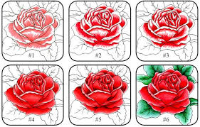 Copic Colouring Flowers Tutorials Apprendre A Dessiner Facile Coloriage Und Copic