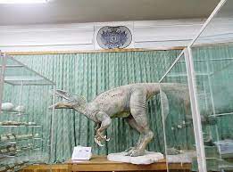 Muzeul din centrul capitalei figurează ca mai vechi muzeu din republica noastră ce se poate mîndri cu o colectie uimitoare de date paleontologice, zoologice este o clădire unică în republica moldova. Muzeul De Istorie NaturalÄƒ IaÈ™i Din IaÈ™i Planiada