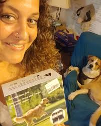 $9.xx Long-Distance Reminder Dog Training Collar with 3 Training Modes,  2600FT Waterproof E Collar with Remote Use code X2LYXZJI  https://amzn.to/4isaa96 Ad