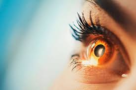 Best Eye Vitamins for Vision Support (Top Supplements List) | Islands'  Sounder